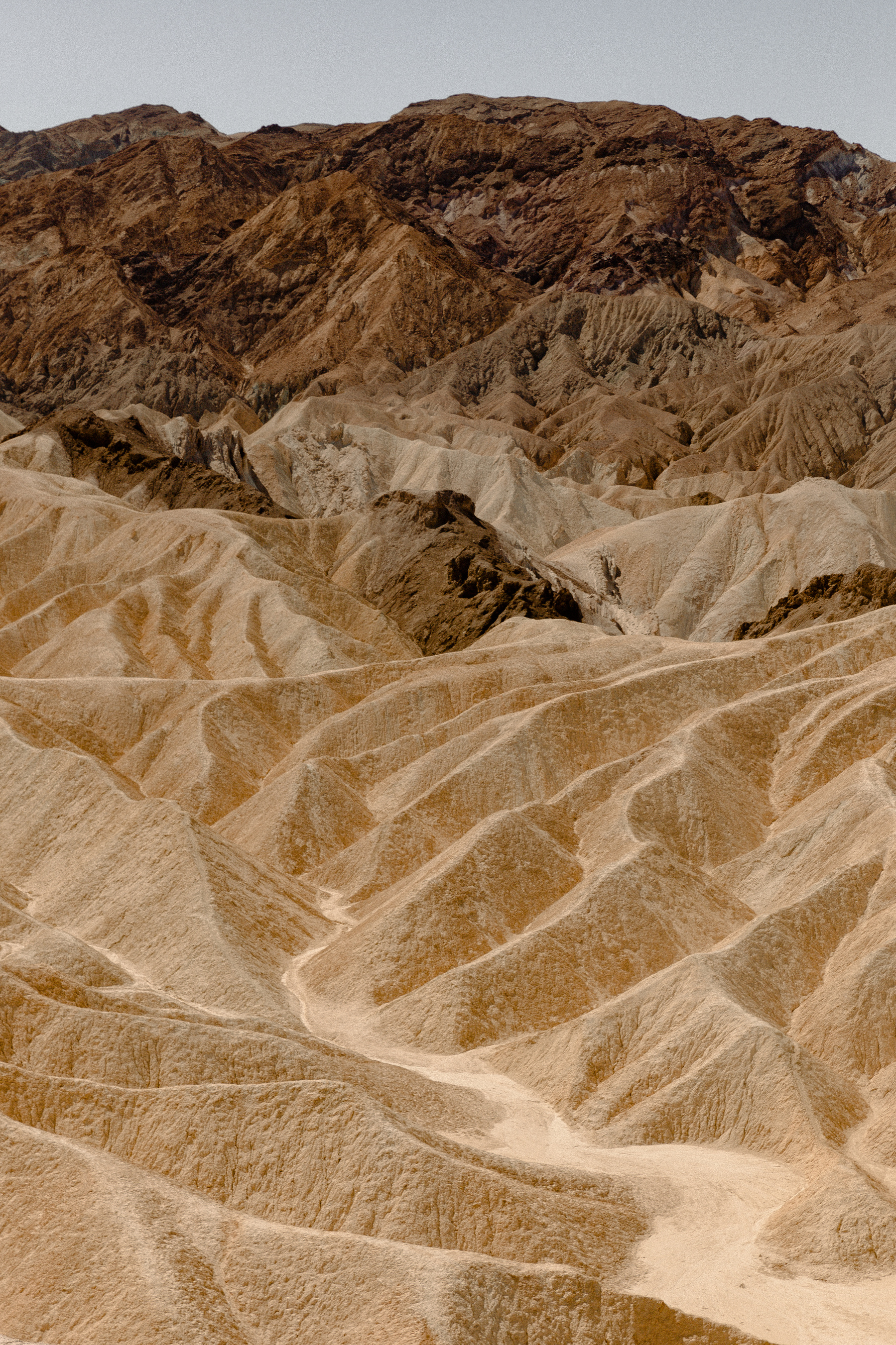 Photo of Sand Dunes Near Rocky Mountain